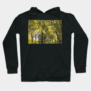 Summer foliage Hoodie